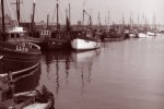 Fleetwood trawlers queuing